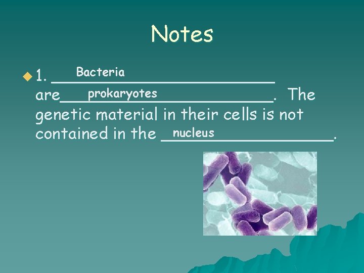 Notes Bacteria ___________ prokaryotes are___________. The genetic material in their cells is not nucleus
