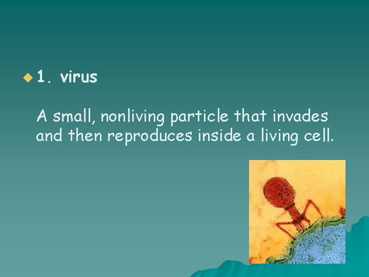 u 1. virus A small, nonliving particle that invades and then reproduces inside a