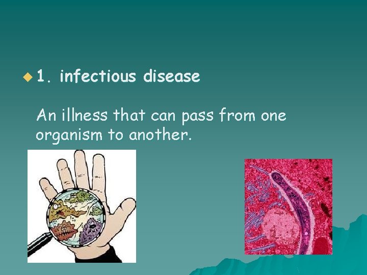 u 1. infectious disease An illness that can pass from one organism to another.