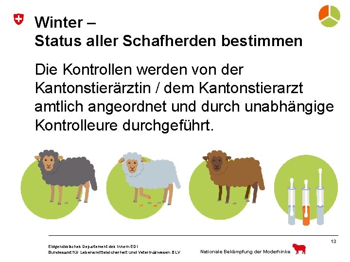 Winter – Status aller Schafherden bestimmen Die Kontrollen werden von der Kantonstierärztin / dem