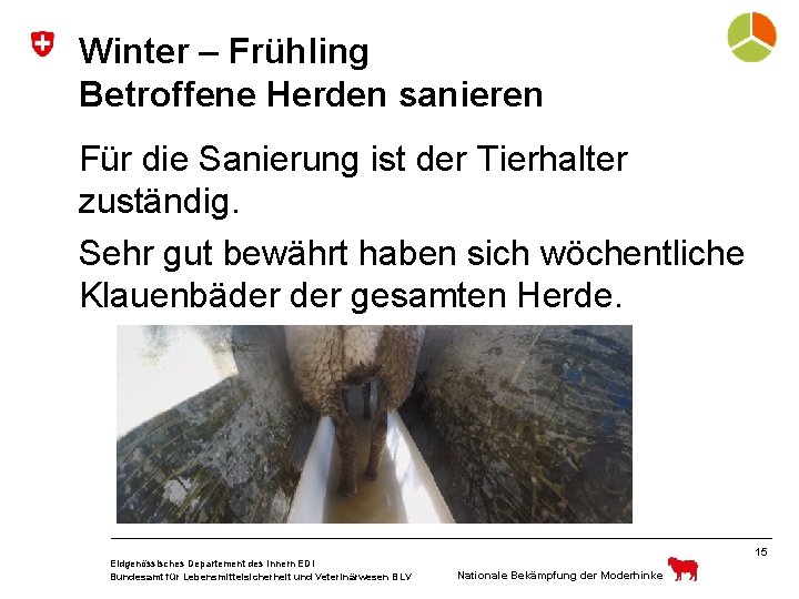 Winter – Frühling Betroffene Herden sanieren Für die Sanierung ist der Tierhalter zuständig. Sehr