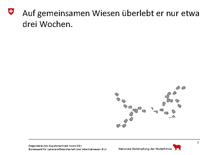 Auf gemeinsamen Wiesen überlebt er nur etwa drei Wochen. 7 Eidgenössisches Departement des Innern