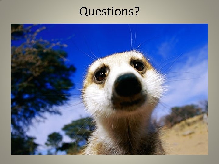 Questions? 
