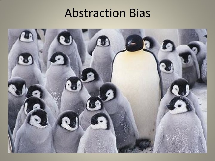 Abstraction Bias 