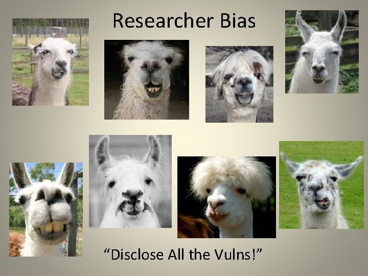 Researcher Bias “Disclose All the Vulns!” 