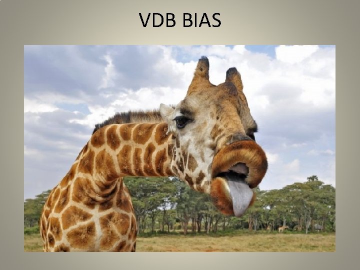 VDB BIAS 
