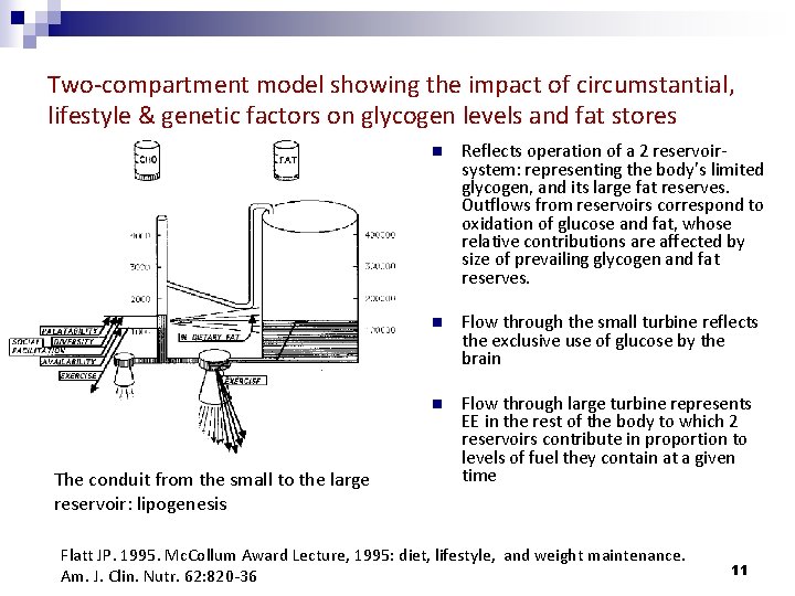 Two-compartment model showing the impact of circumstantial, lifestyle & genetic factors on glycogen levels