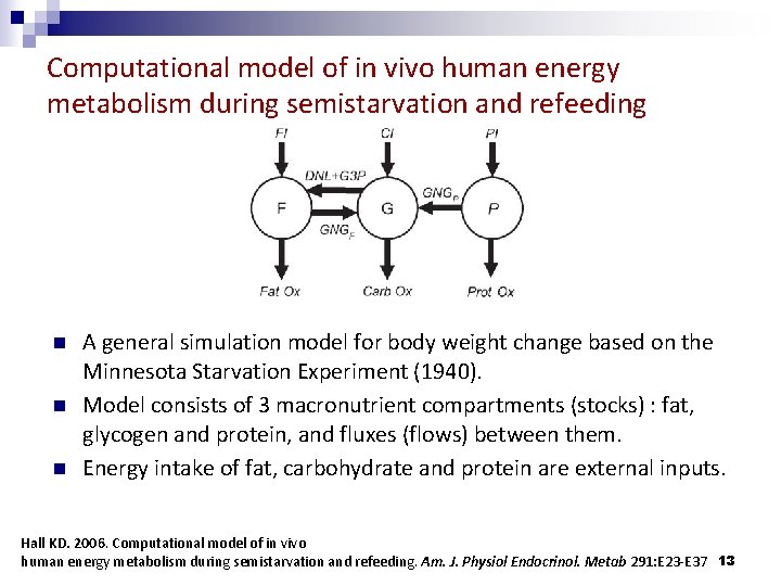 Computational model of in vivo human energy metabolism during semistarvation and refeeding n n
