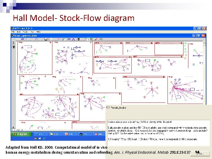 Hall Model- Stock-Flow diagram Adapted from Hall KD. 2006. Computational model of in vivo