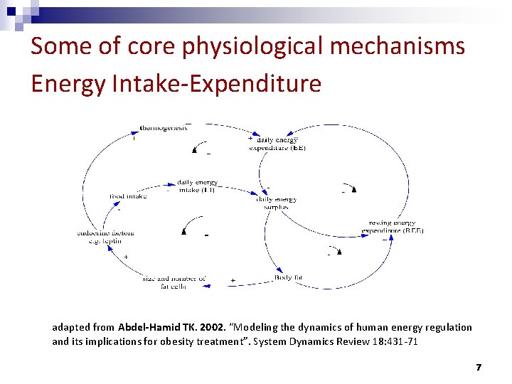 Some of core physiological mechanisms Energy Intake-Expenditure adapted from Abdel-Hamid TK. 2002. “Modeling the