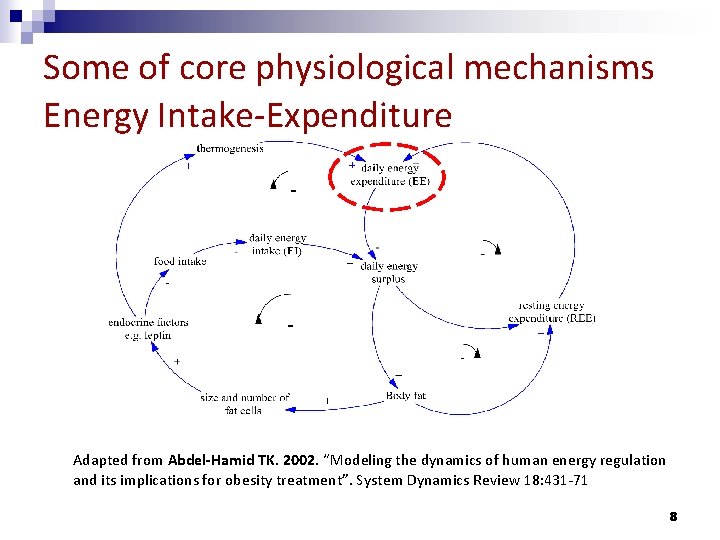 Some of core physiological mechanisms Energy Intake-Expenditure Adapted from Abdel-Hamid TK. 2002. “Modeling the