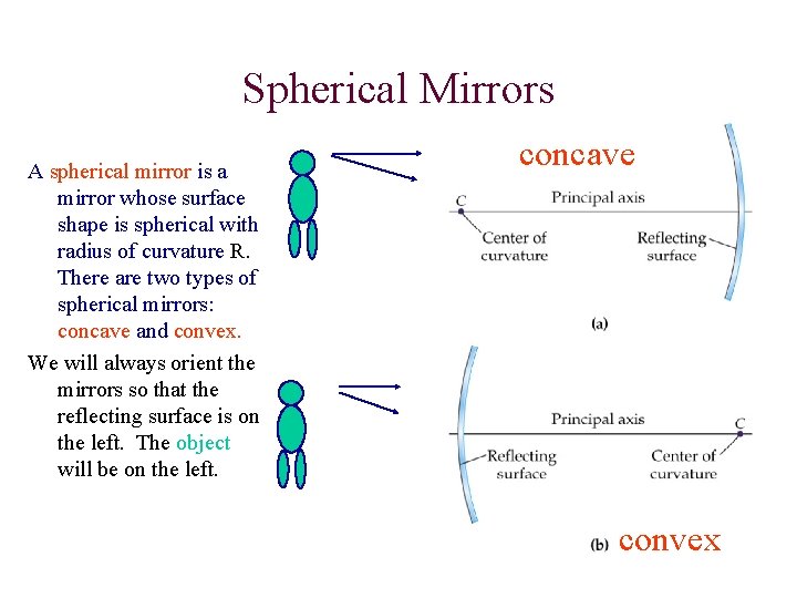 Spherical Mirrors A spherical mirror is a mirror whose surface shape is spherical with