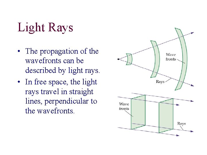 Light Rays • The propagation of the wavefronts can be described by light rays.