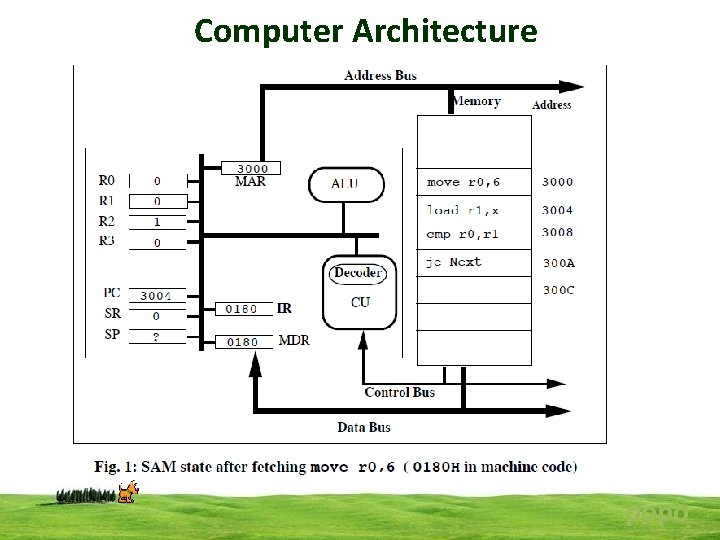 Computer Architecture popo 