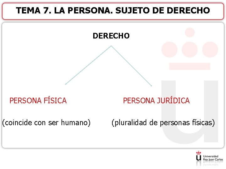 TEMA 7. LA PERSONA. SUJETO DE DERECHO PERSONA FÍSICA PERSONA JURÍDICA (coincide con ser