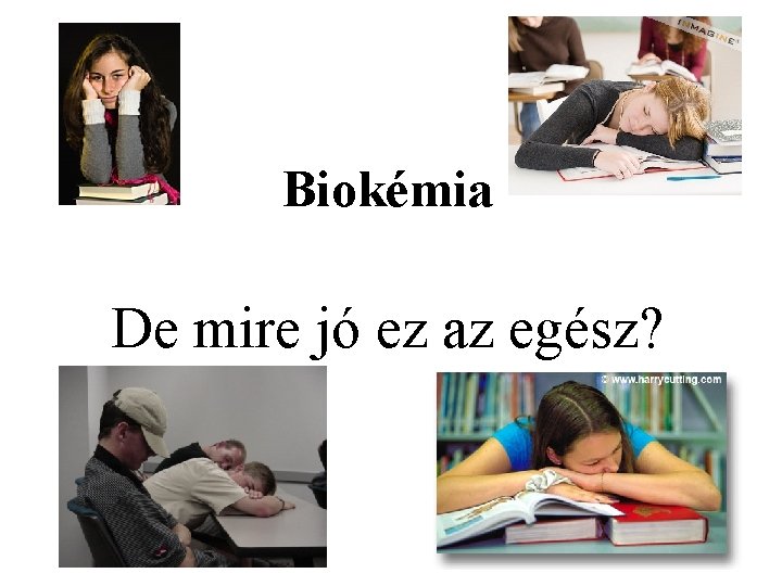 Biokémia De mire jó ez az egész? 