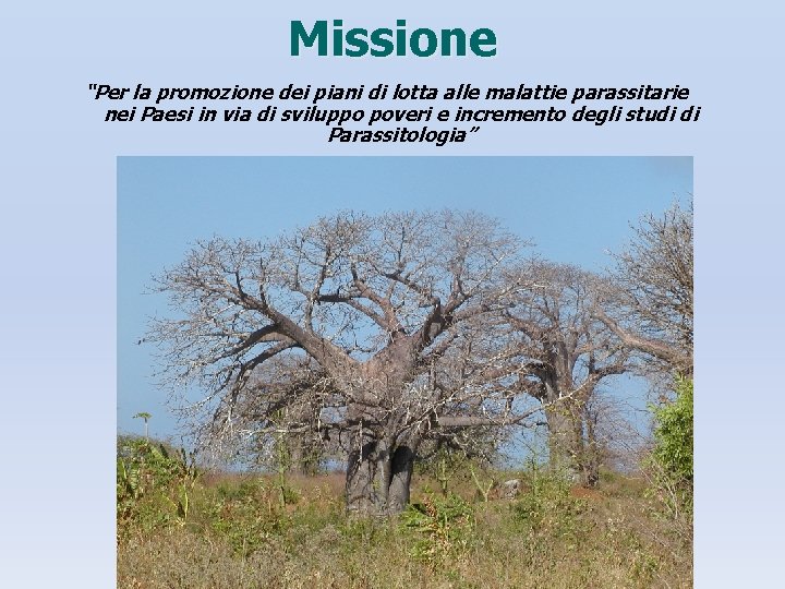 Missione “Per la promozione dei piani di lotta alle malattie parassitarie nei Paesi in