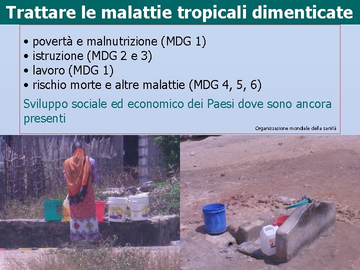 Trattare le malattie tropicali dimenticate • • povertà e malnutrizione (MDG 1) istruzione (MDG