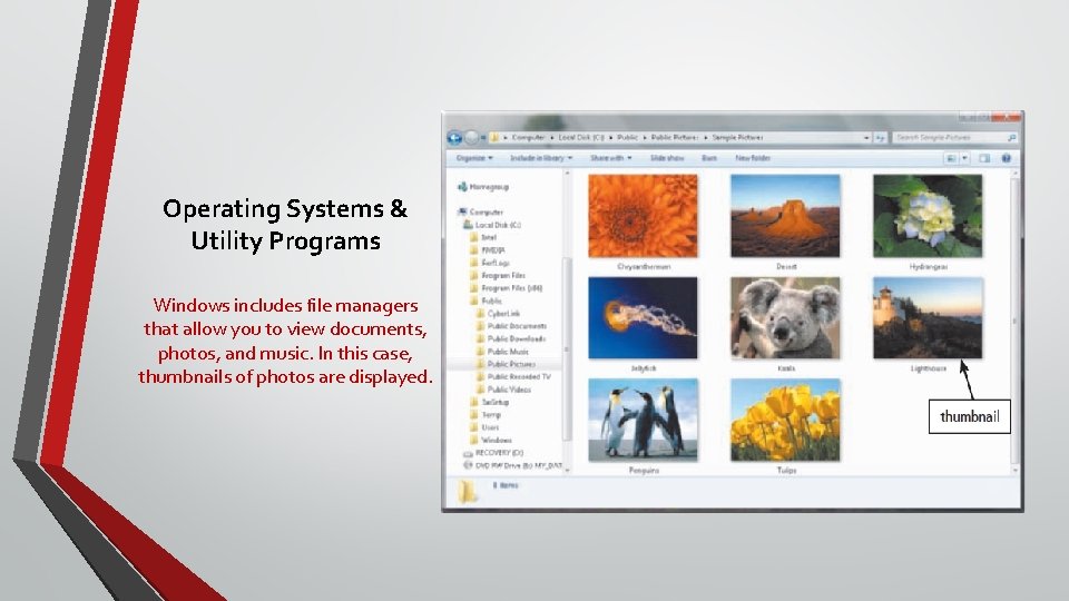 Operating Systems & Utility Programs Windows includes file managers that allow you to view