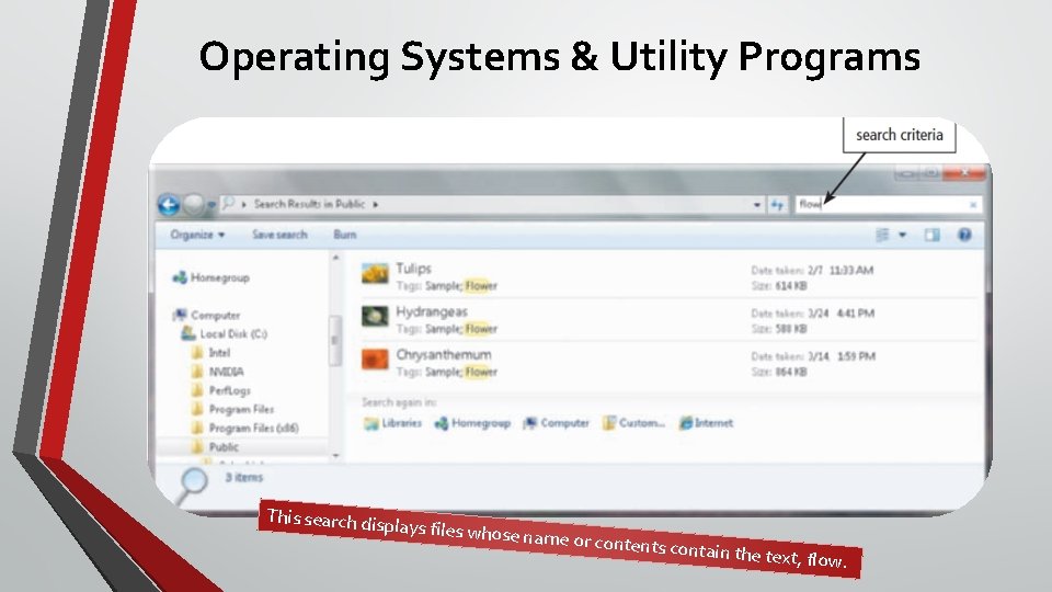 Operating Systems & Utility Programs This search disp lays files whose name or conten