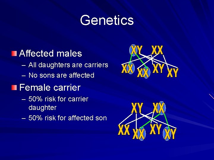 Genetics Affected males – All daughters are carriers – No sons are affected Female