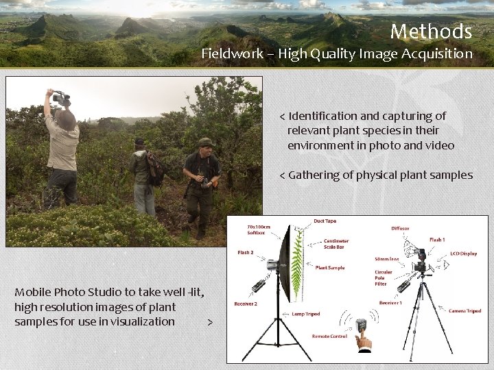 Methods Fieldwork – High Quality Image Acquisition < Identification and capturing of relevant plant