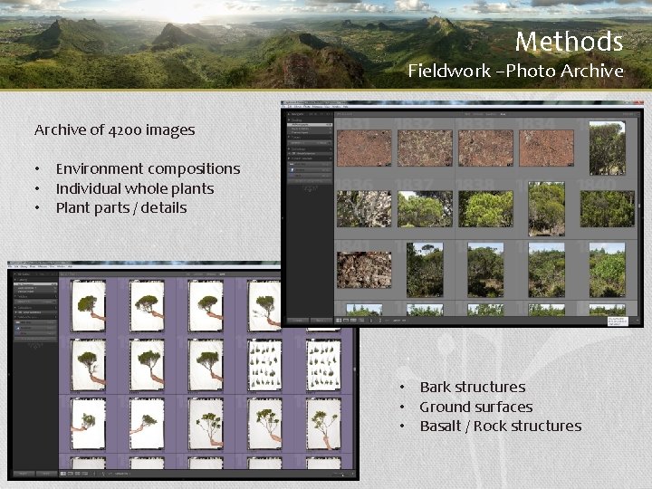 Methods Fieldwork –Photo Archive of 4200 images • Environment compositions • Individual whole plants