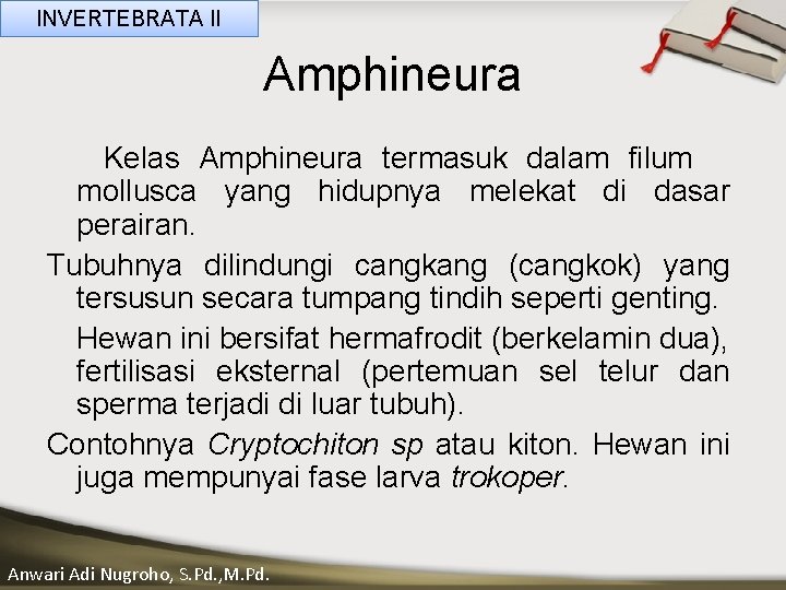 INVERTEBRATA II Amphineura Kelas Amphineura termasuk dalam filum ____ Click __ to ____ edit