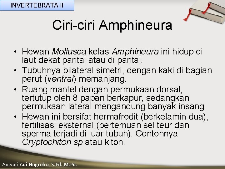 INVERTEBRATA II Ciri-ciri Amphineura Click__ to____ editkelas Master _____ textinistyles ______ • ____ Hewan