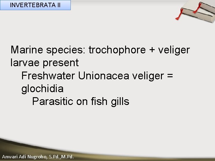 INVERTEBRATA II ____ Clickspecies: __to____ edittrochophore Master _____ text+ styles ______ Marine veliger _____