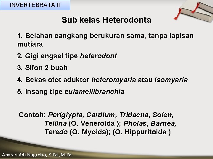 INVERTEBRATA II Sub kelas Heterodonta 1. Belahan cangkang berukuran sama, tanpa lapisan mutiara ____