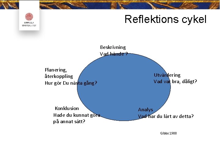 Reflektions cykel Beskrivning Vad hände ? Planering, återkoppling Hur gör Du nästa gång? Konklusion