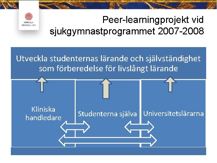 Peer-learningprojekt vid sjukgymnastprogrammet 2007 -2008 Utveckla studenternas lärande och självständighet som förberedelse för livslångt