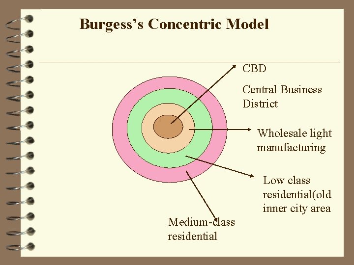 Burgess’s Concentric Model CBD Central Business District Wholesale light manufacturing Low class residential(old inner Burgess’s Concentric Model CBD Central Business District Wholesale light manufacturing Low class residential(old inner