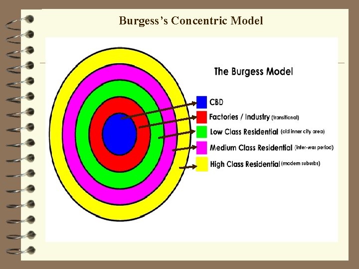 Burgess’s Concentric Model 