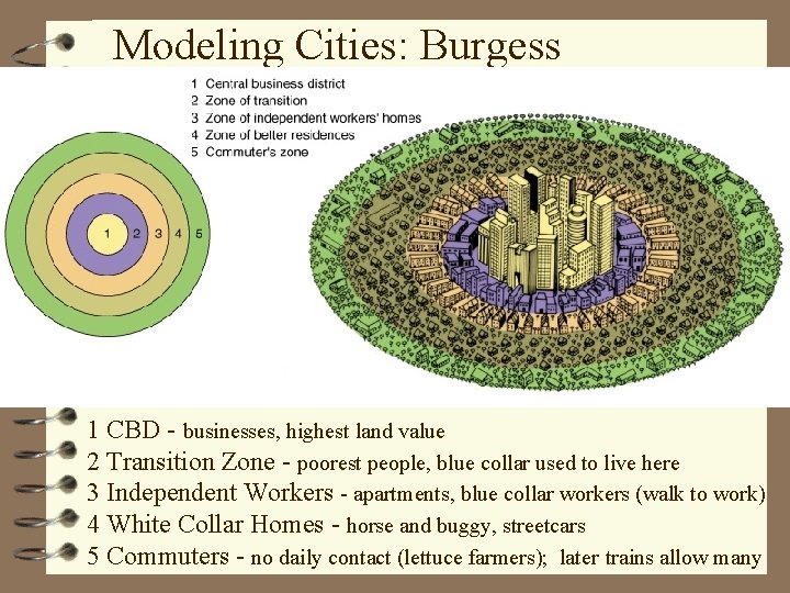 Modeling Cities: Burgess 1 CBD - businesses, highest land value 2 Transition Zone -