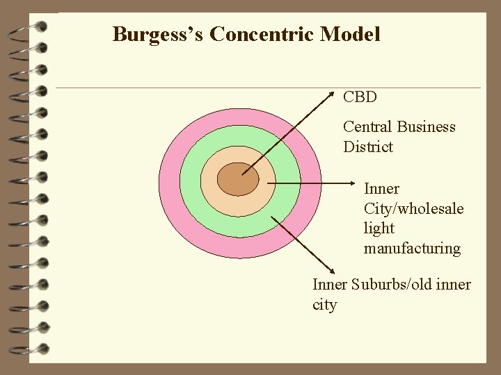 Burgess’s Concentric Model CBD Central Business District Inner City/wholesale light manufacturing Inner Suburbs/old inner