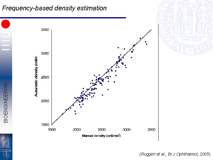 BIOENGINEERING Frequency-based density estimation (Ruggeri et al. , Br J Ophthalmol, 2005) 