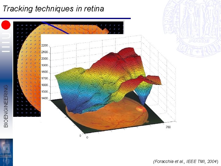 BIOENGINEERING Tracking techniques in retina (Foracchia et al. , IEEE TMI, 2004) 