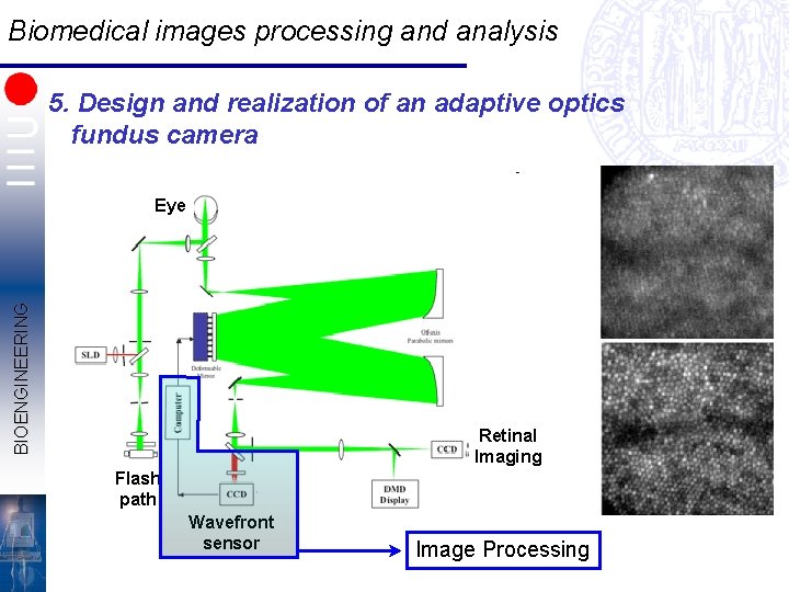 Biomedical images processing and analysis 5. Design and realization of an adaptive optics fundus