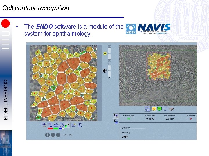 Cell contour recognition BIOENGINEERING • The ENDO software is a module of the system