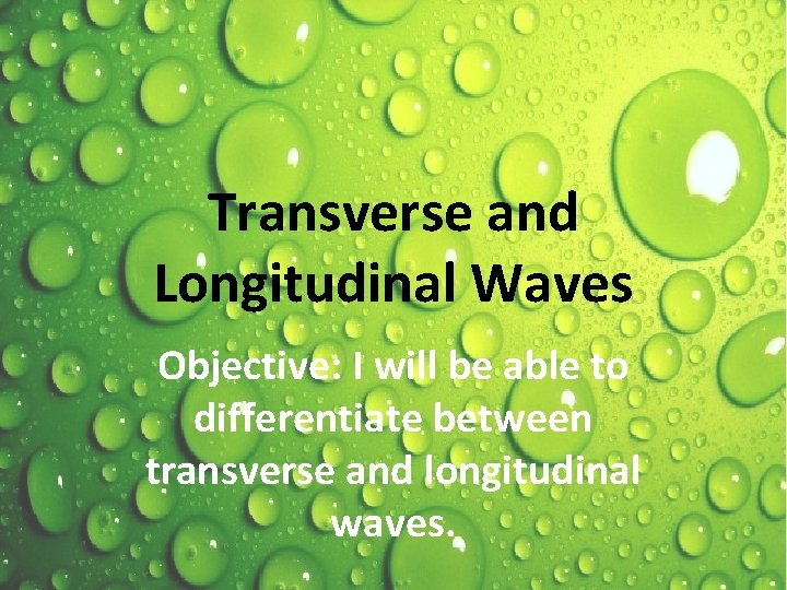 Transverse and Longitudinal Waves Objective: I will be able to differentiate between transverse and