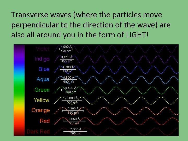 Transverse waves (where the particles move perpendicular to the direction of the wave) are