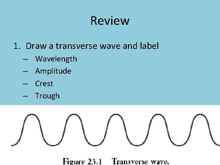 Review 1. Draw a transverse wave and label – – Wavelength Amplitude Crest Trough