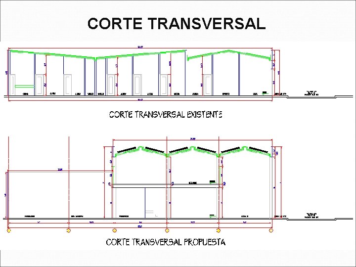 CORTE TRANSVERSAL 