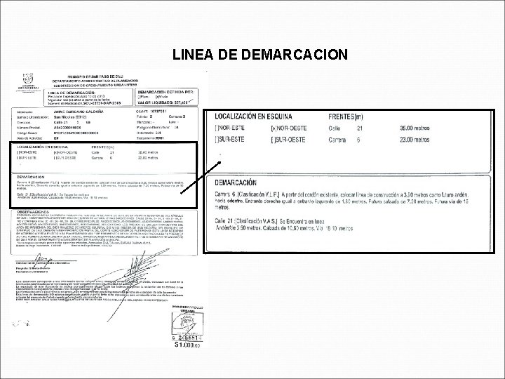 LINEA DE DEMARCACION 