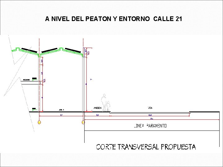 A NIVEL DEL PEATON Y ENTORNO CALLE 21 