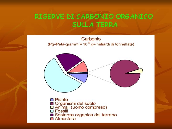RISERVE DI CARBONIO ORGANICO SULLA TERRA 