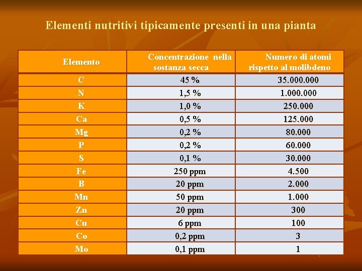 Elementi nutritivi tipicamente presenti in una pianta Elemento C N K Ca Mg P