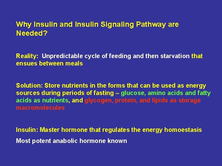 Why Insulin and Insulin Signaling Pathway are Needed? Reality: Unpredictable cycle of feeding and